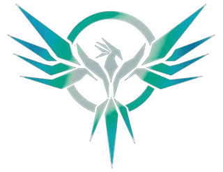 Phoenix Mobile Automotive Detailing logo